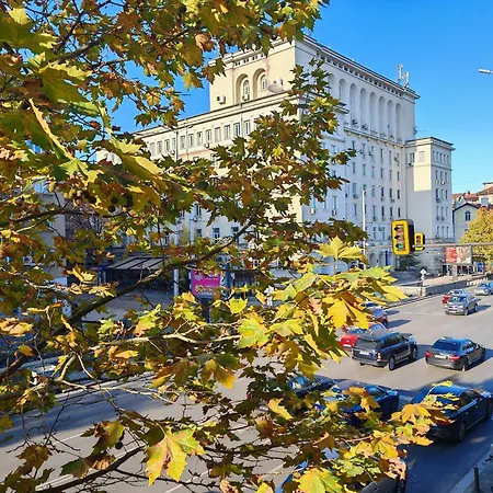 Apartament 87 *